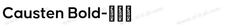 Causten Bold字体转换